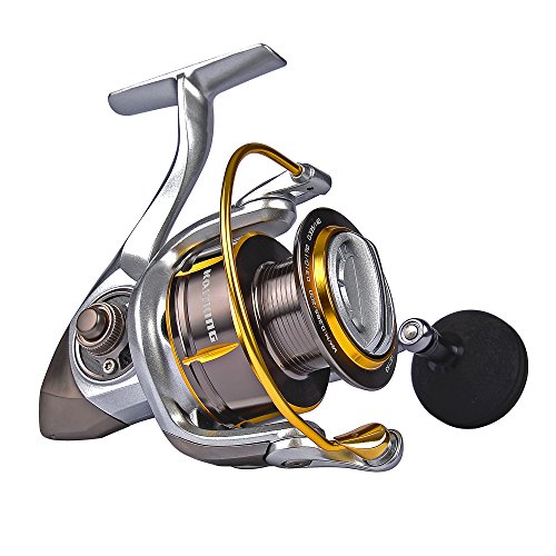 KastKing Kodiak Saltwater Spinning Reel LB Nigeria Ubuy