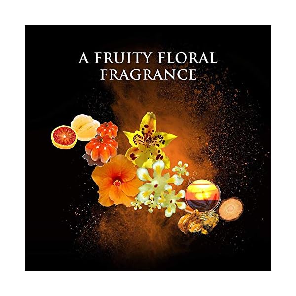 Beyonce Heat Rush Eau de Toilette Fragrance for Women, 100 ml