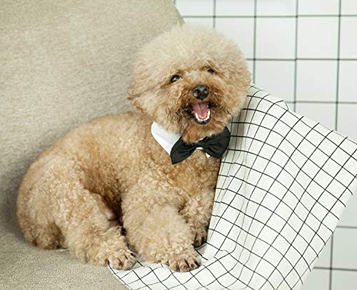 ZTON Handcrafted Adjustable Formal Pet Bowtie Collar Neck Tie for Dogs & Cats (L, Black) - Thumbnail 6