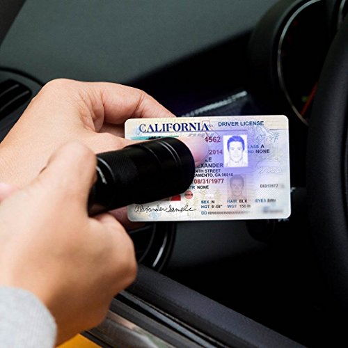 Morpilot Schwarzlicht, 2 Stück UV Handheld Schwarzlicht Taschenlampen 12 LED 395nm Mini Light Fackeldetektor für Haustiere Urin und Flecken