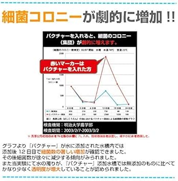 Amazon 水質浄化活性石バクチャー 淡水用 バクチャー 水質テスト 管理用品 通販