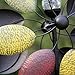 Solar Wind Spinner 7 Foot Tricolor Multi-Color LED Lighting by Solar Powered Glass Ball. Perfect Gardening Gift Amongst Wind Spinners and Windmills Yard Art with Kinetic Dual Direction Spinning