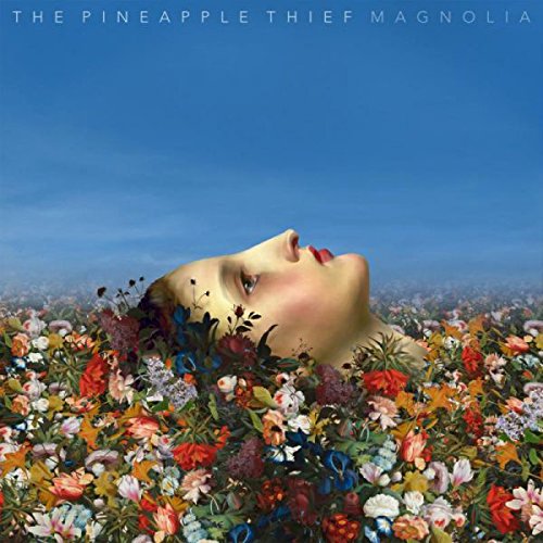 The Pineapple Thief - Seasons Past Lyrics - Zortam Music