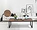 Vintage Dark Coffee Black Metal Frame Cocktail Coffee Table 44