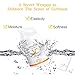 Face Moisturizer – Vitamin C Face Cream for Facial Whitening,Hydrating, Anti-Wrinkle & Fine Lines with Jojobal Oil,Coconut Oil, Cocoa Butter & Vitamin B5 Night Cream for Face (1.7oz)thumb 4
