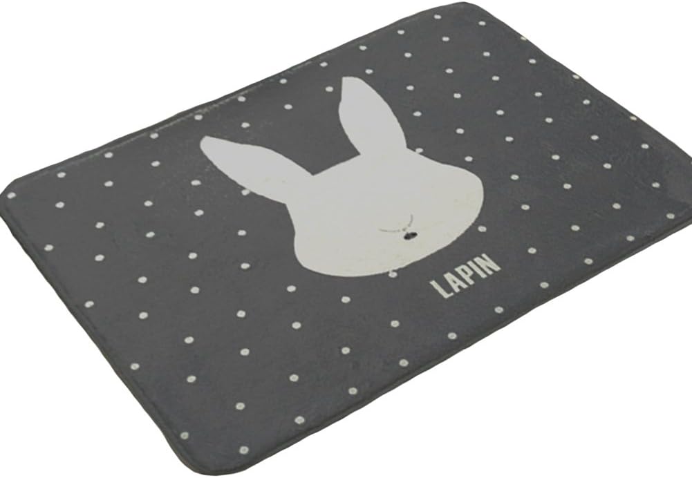 Dailydollor Cartoon Pictures Home Doormats15inchX23inch (Rabbit)