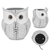 APPS2Car Owl Holder [6 inch Tall] for Echo Dot 2nd 1st Generation Speaker, Crafted Dots Owl Case Stand for Amazon Alexa Round Dot for Home Decor (White)