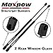 Maxpow 2Pcs Rear Window Glass Lift Supports Struts SG230063 4576