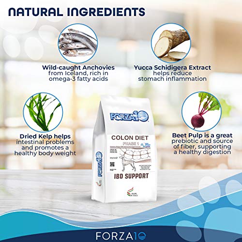Forza10 Active Colon Support Diet Phase 1 Dry Dog Food, Helps Dogs with
