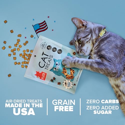 PLATO PET TREATS CAT TREATS – SINGLE INGREDIENT, HEALTHY SALMON TREATS FOR INDOOR CATS – 2.5 OZ