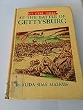 We Were There At the Battle of Gettysburg  We Were There Series