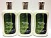Lot of 3 Bath & Body Works Body Lotion (Rainkissed Leaves)