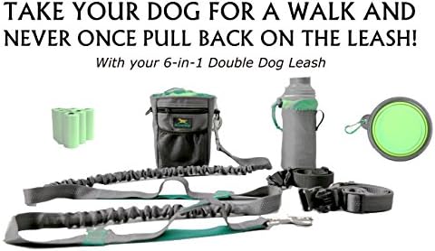 ALL-IN-ONE HANDS-FREE DOUBLE DOG BELT-AND-BUNGEE BUDDY LEASH SYSTEM AND WALKING BELT FOR OWNERS OF RUNNING DOGS, PEOPLE WITH STROLLERS, IN A WHEELCHAIR OR HIKING, WITH SHOCK ABSORPTION