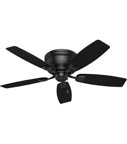 BST sports ster SPorts Hnter 510” Hunter 52 inch Outdoor or Indoor Ceiling Fan No Light with