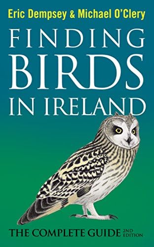Finding Birds in Ireland: The Complete Guide