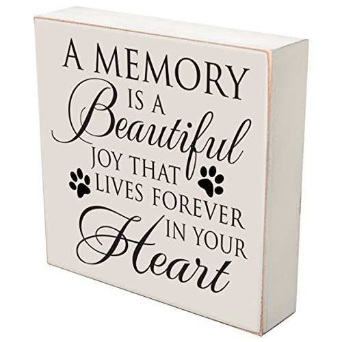 A Memory Is A Beautiful Joy loss of dog cat or pet memorial gift keepsake shadow box 6x6 by LifeSong Milestones (A memory is a beautiful joy)