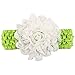 Qandsweet Baby Girl's Beautiful Headbands (10 Pack)