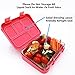 Aohea Bento Lunch Box 6 Compartments Bento Box With Safe Tritan Materials Kids Lunch Box Also Suitable For Adults