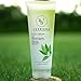 Dead Sea Salt With Tea Tree Essential Oil Foot Cream With Dead Sea Salt Minerals