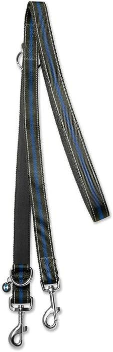 bmw dog leash