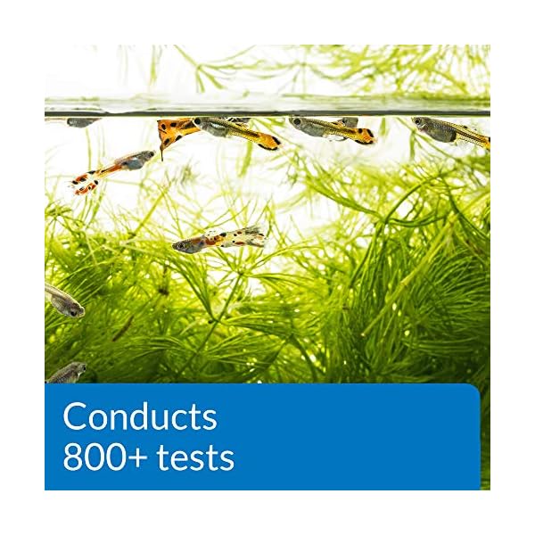API-800-Test-Freshwater-Aquarium-Water-Master-Test-Kit API 800 Test Freshwater Aquarium Water Master Test Kit