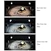 GLOSHOOTING Photography Lighting Kit, 12 LED Continuous Photo Lights, Table Top Lamp for Video Studio with Color Filters, 4 Sets