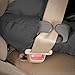 Evenflo Embrace LX Infant Car Seat, Raleigh