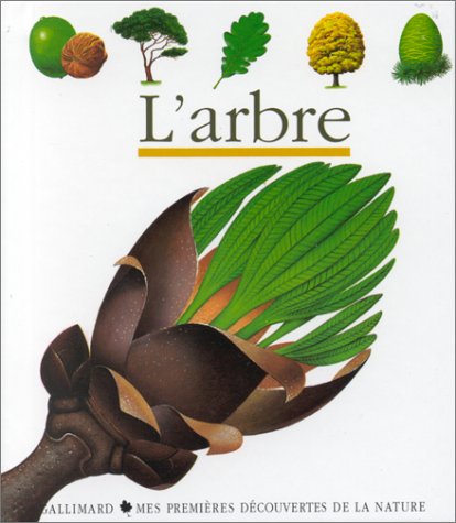 couverture de : L'ARBRE
