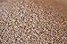 Organic Einkorn Berries (Farro Piccolo) (22.5 pounds)