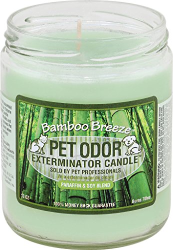 Pet Odor Exterminator Candle