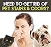 Pet Stain Remover, Animal Stain Cleaner, Pet Odor Remover - Pet Stain And Odor Remover By Mr.Spragles Pet Supplies - Squirt Bottle Sprayer, No Harsh Chemicals, Carpets, Cars, Hardwood