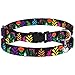 CollarDirect Cat Collar with Removable Bell Floral Pattern 2 Pack Set Flower Adjustable Safety Breakaway Collars for Cats Kitten