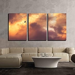 a Bird Flying Under Dramatic Cloud x3 Panels