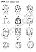 Simplicity Pattern 2494 Misses Fleece Hats in Three Sizes S (21