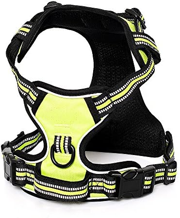 Tenwell Best Dog Harness No Pull Pet Harness 3M Reflective Adjustable Dog Chest Vest with Handle for Small Medium Large Dogs Safety Training Hiking (L, Green)