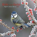 Birds in our Garden (160335) (English, Spanish, French, Italian and German Edition) by 