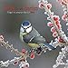 Birds in our Garden (160335) (English, Spanish, French, Italian and German Edition) by 