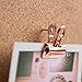 Suck UK Rose Gold Bulldog Clips with Push Pins for Cork Boards, Office Accessories & Aesthetic Stationary, Drawing Pins for Vision Board & Pin Board Bedrooms Office Supplies