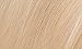 Naturtint 10N Light Dawn Blonde Permanent Hair Color (Pack of 6), Ammonia Free, Vegan, Cruelty Free, up to 100% Gray Coverage, Long Lasting Results (Packaging may vary)