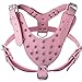 Didog Studded Spiked Leather Dog Harness for Medium and Large Dogs,Fit Pit Bulldog Terrier Mastiff Puppy Boxer(Pink)