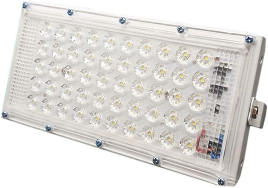 CITRA 50-Watts LED White Flood Light, Pack of 1
