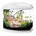 Aqueon LED Minibow Aquarium Starter Kit with LED Lighting, 5 Gallon, White