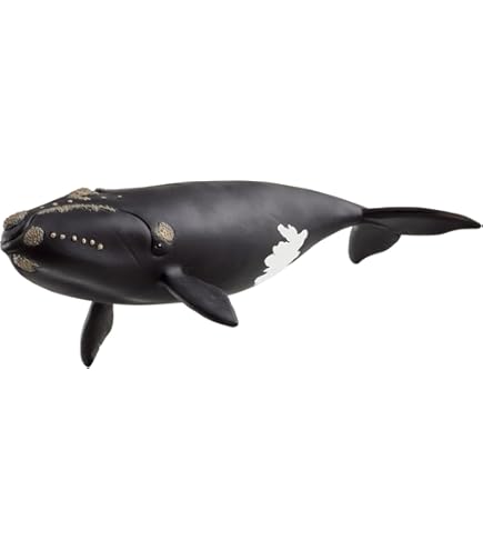 Schleich Humpback Whale, Figures - Amazon Canada
