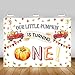 Mocsicka Pumpkin First Birthday Backdrop Autumn Fall Harvest Truck Car 1st Birthday Background 7x5ft Vinyl Fall Pumpkin First Birthday Party Backdrops