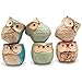 Owl Pots 2.5 Inch,Flowing Glaze Succulent Pots,Owl Planter/Mini Ceramic Pots,Small Flower/Plant/Cactus/Bonsai Container with Hole 6Pack