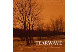 Different Shade of Beauty