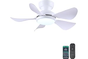 Kviflon 32 Inch Modern Ceiling Fans with Lights, Small Flush Mount Ceiling Fan with Remote/APP Control, 5 Reversible Curved B