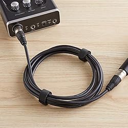 Amazon Basics 2-Pack XLR Microphone Cable for
