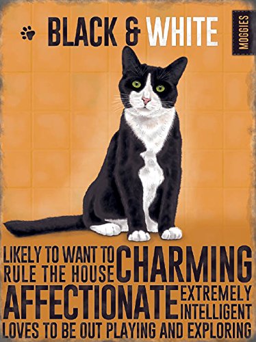Fridge Magnet - Black and White Moggies Cat Kitten