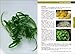 Lonely Planet World Food Hong Kong (Lonely Planet World Food Guides)